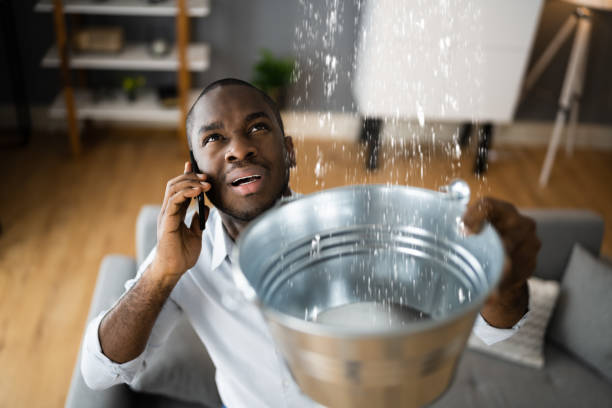 Best Carpet water damage restoration  in Benjamin, UT