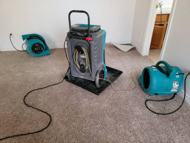Best Water damage cleanup near me  in Benjamin, UT