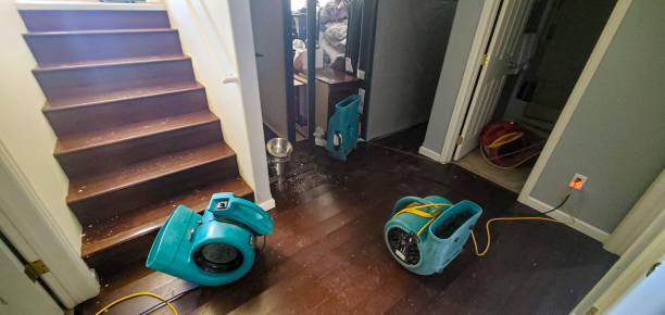 Professional Water damage restoration in Benjamin, UT