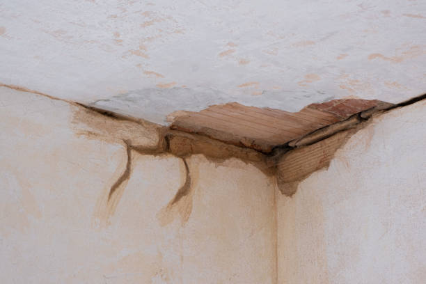 Best Local water damage restoration  in Benjamin, UT