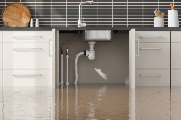 Best Professional water damage repair  in Benjamin, UT