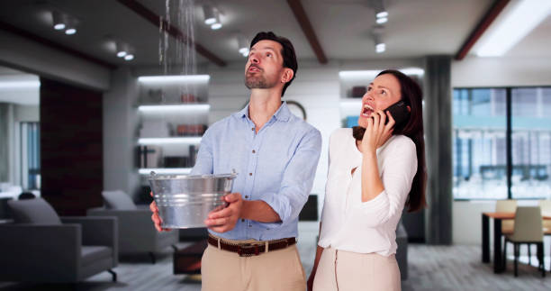 Best Sewage cleanup and water damage restoration  in Benjamin, UT