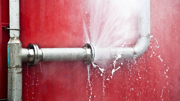 Best Local water damage restoration  in Benjamin, UT