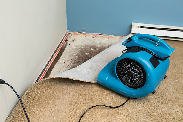 Best Basement water damage restoration  in Benjamin, UT